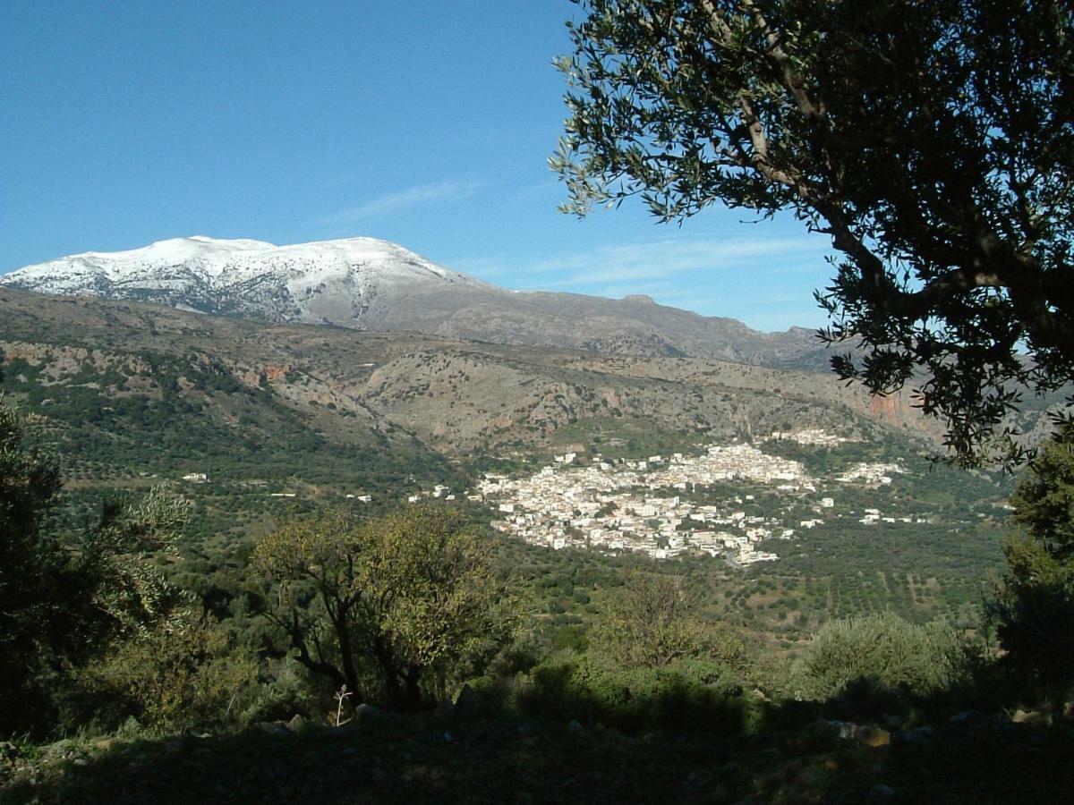 Appartamento Stunning Seaview Town *